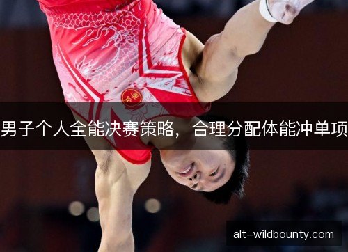 男子个人全能决赛策略，合理分配体能冲单项